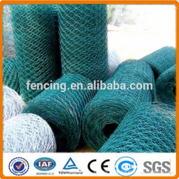 plastic coated chicken wire netting / aviary cage wire mesh /hexagonal wire netting